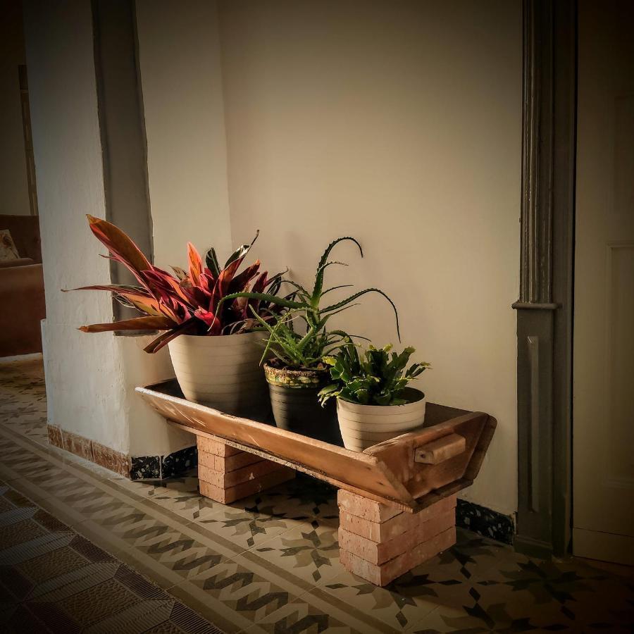 Casa Rural Maribel Santa Amalia 外观 照片