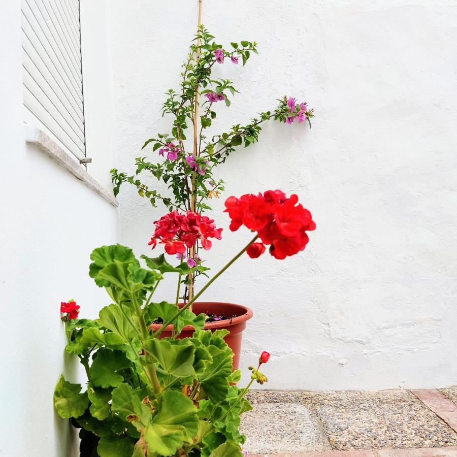 Casa Rural Maribel Santa Amalia 外观 照片